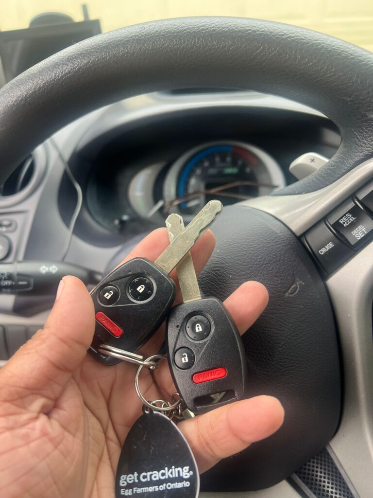 WhatsApp Image 2025-07-31 at 12.39.36 PM (5)